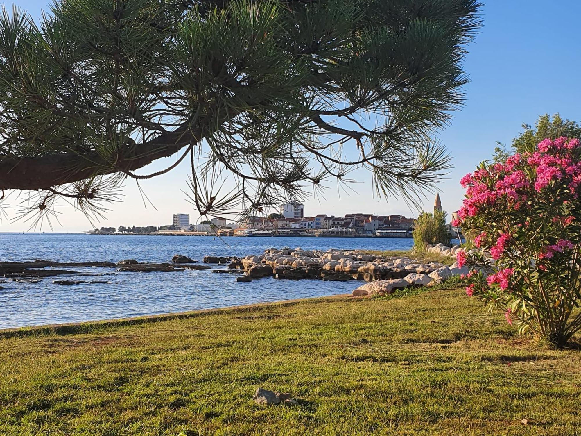 Eva Apartament