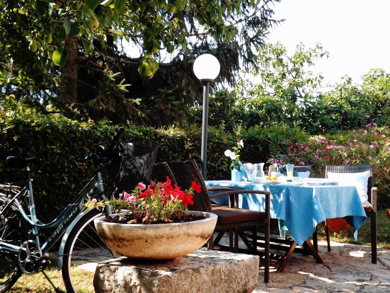 Eva Apartament Umag